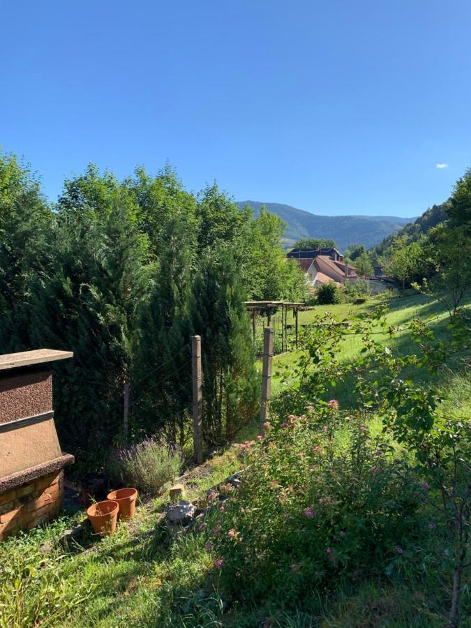Chalet Rustique, 3Pieces, Jusqu'A 6 Personnes Urbès Dış mekan fotoğraf