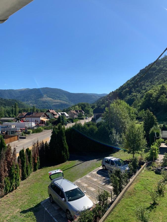 Chalet Rustique, 3Pieces, Jusqu'A 6 Personnes Urbès Dış mekan fotoğraf
